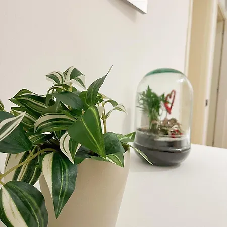 Matteucci 18 Romanticismo Bizantino In Centro Storico Apartman *