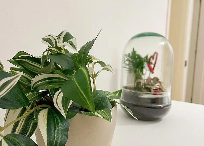 Matteucci 18 Romanticismo Bizantino In Centro Storico Lägenhet *